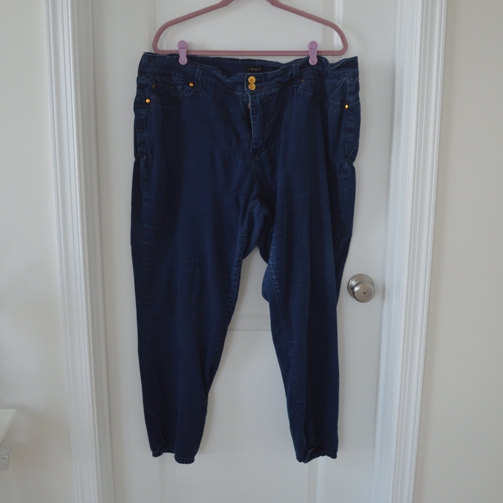 Double Gold Button Dark Wash Jeggings